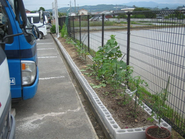 hobby08.jpg